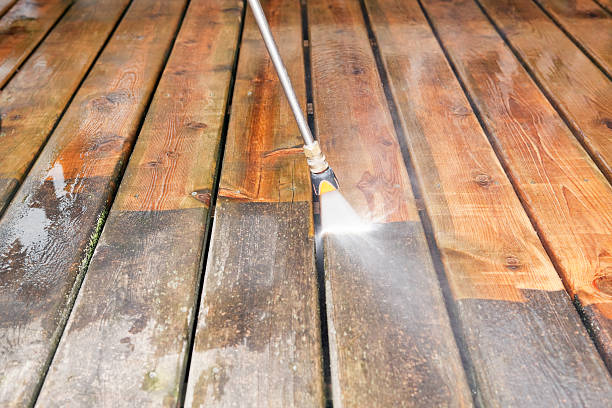 Professional  Pressure Washing Services in Nicholson, MS